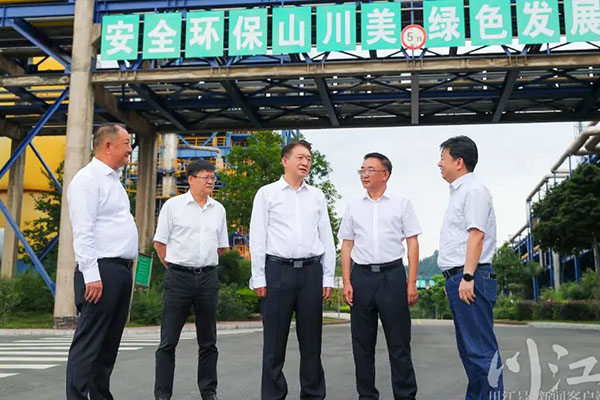 杨林兴：把新型工业化摆在更加突出的位置，让“四化同步”发展的主引擎作用更加凸显